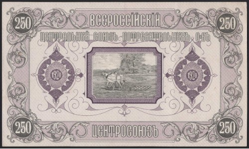 Владивосток ВЦСПО 250 рублей 1920 (Vladivistok VCSPO, All-Russian Central Union of Consumer Societies 250 rubles 1920) : aUNC