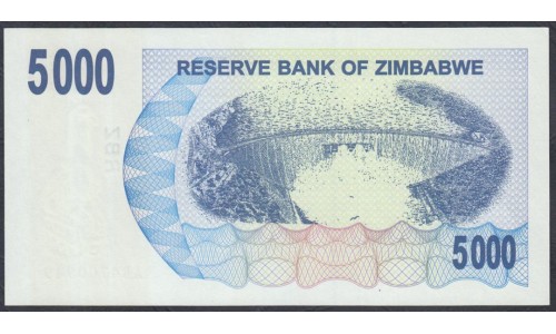 Зимбабве 5000 долларов 2007 год (ZIMBABWE 5000 dollars  2007) P 45: UNC