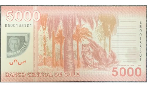 Чили 5000 песо 2009 (CHILE 5000 Pesos 2009) P 163a : UNC