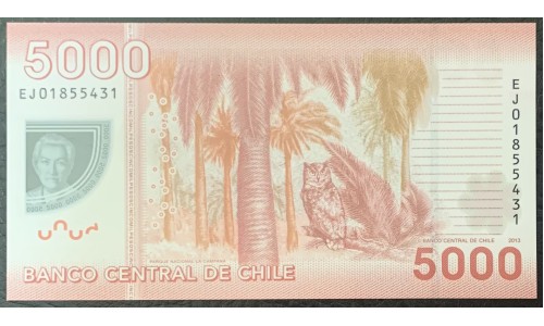 Чили 5000 песо 2013 (CHILE 5000 Pesos 2013) P 163d : UNC