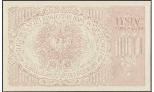 Польша 1000 марок 1919 гoода (POLAND 1000 Marek Polskich 1919) Р 22: UNC
