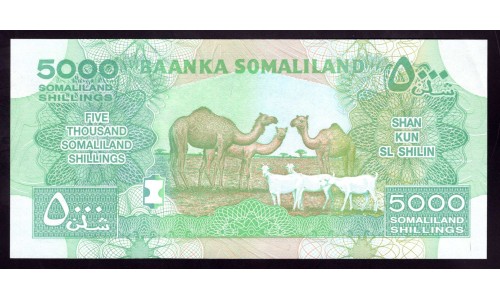 Сомалиленд  5000 шиллингов 2011 г. (SOMALILAND 5000 shillings 2011) P 21а: UNC 