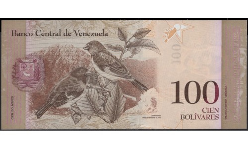 Венесуэла 100 боливаров 2013 года (Venezuela 100 Bolivares 2013) P 93g: UNC